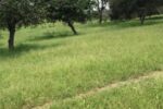 IMG-20230925-WA0051-640×427 (3)