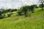 IMG-20230925-WA0051-640×427 (3)
