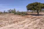 PO11-640×427 (1)