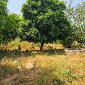 Ferme Avicole de 5260 m² vers Fandene