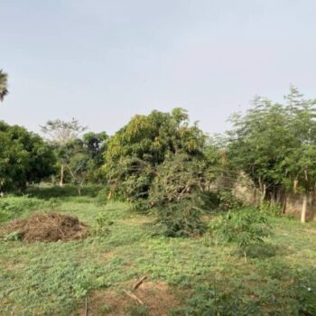 Ferme Avicole de 7932 m² vers Sébikotane