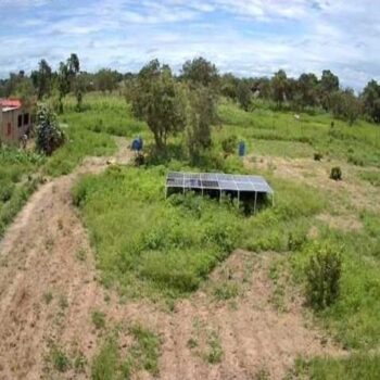 Verger de 4 hectares vers Ndame