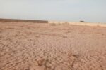 Terrain de 20 hectares vers Touba