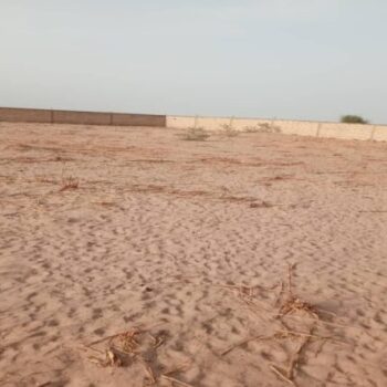 Terrain de 20 hectares vers Touba