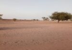 Terrain de 25 hectares vers Touba