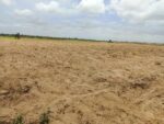 Terrain de 1 hectare vers Tassette