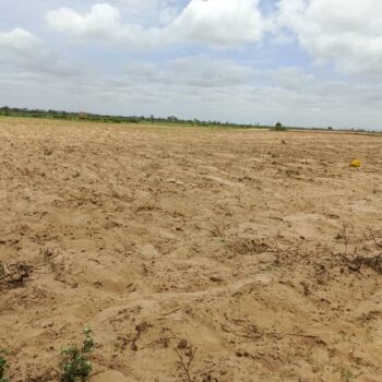 Terrain de 1 hectare vers Tassette
