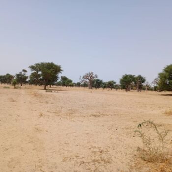 Terrain de 1,05 hectare vers Tassette