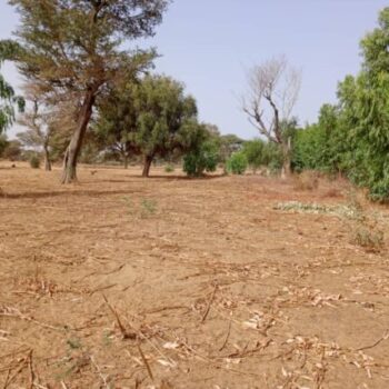 Terrain de 7923 m² vers Tassette