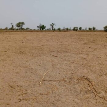 Terrain de 3,20 hectares vers Tassette