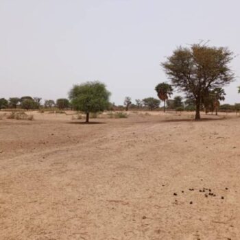 Terrain de 7067 m² vers Tassette
