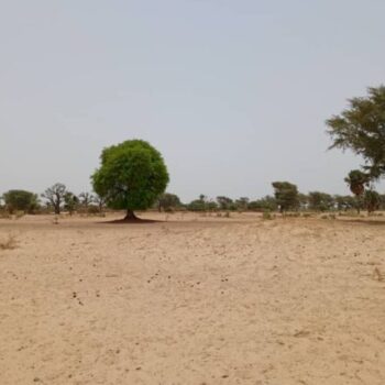 Terrain de 1,58 hectare vers Tassette
