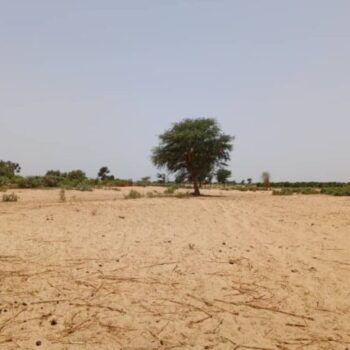 Terrain de 2,04 hectares vers Tassette