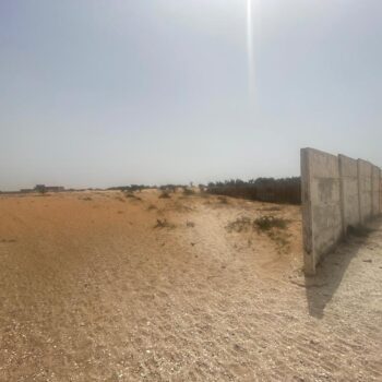 Terrain de 8 hectares vers Kayar