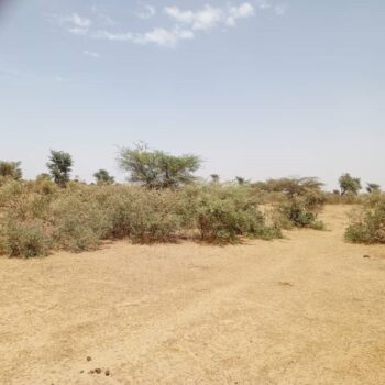 Terrain de 48 hectares vers Koul