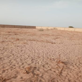Terrain de 12 hectares vers Touba