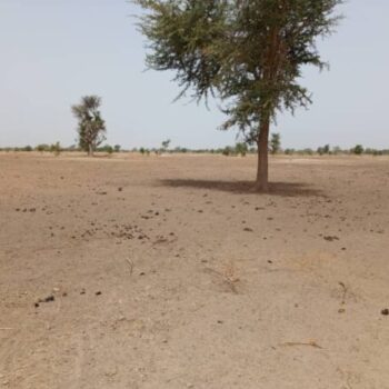 Terrain de 1,83 hectare vers Tassette