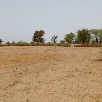 Terrain de 1,52 hectare vers Tassette