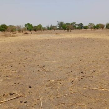 Terrain de 2,06 hectares vers Tassette