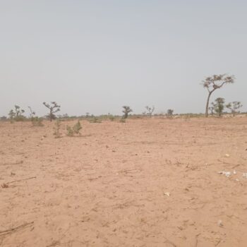 Terrain de 3,19 hectares à Ndiéyene Sirakh