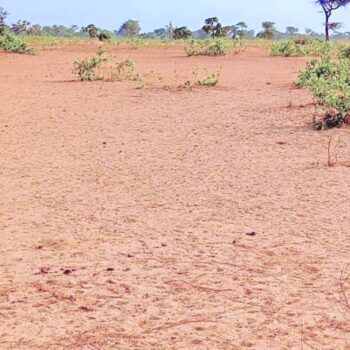 Terrain de 1,34 hectare à Ndiéyene Sirakh